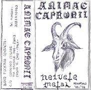 Animae Capronii : Helvete Metal